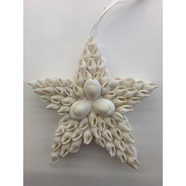 Item 115055 White Nassa Star With Annulus Ornament