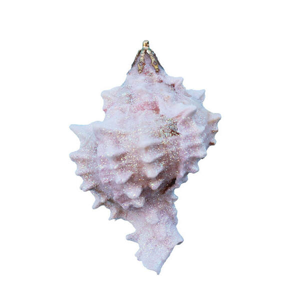 Item 220023 Pink Murex Shell Ornament