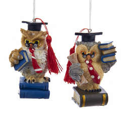 Item 101134 Teacher Owl Ornament
