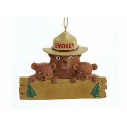 Item 107004 Smokey Bear Cubs Ornament