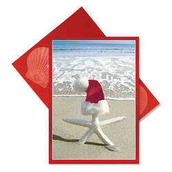 Item 108047 White Starfish With Santa Hat Christmas Cards