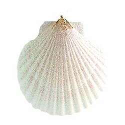 Item 220013 White Pecten Shell Ornament