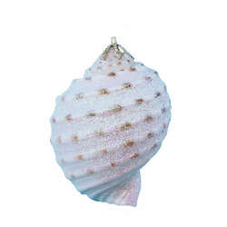 Item 220035 Spotted Tona Shell Ornament