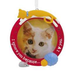 Thumbnail Cat Ignore Photo Frame Ornament
