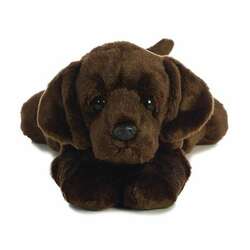 Item 451189 Max The Chocolate Lab