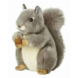 Item 451279 Gray Squirrel