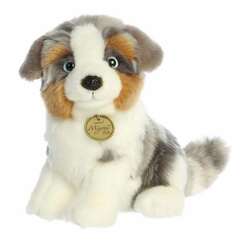 Item 451486 Australian Shepherd Pup
