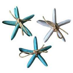 Item 516194 thumbnail Starfish Bundle