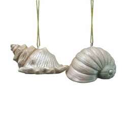 Item 516701 thumbnail Shell Ornament