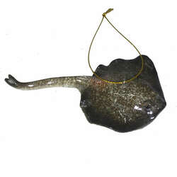 Item 519547 thumbnail Stingray Ornament