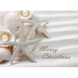 Item 552156 Shells and Pearls Christmas Cards